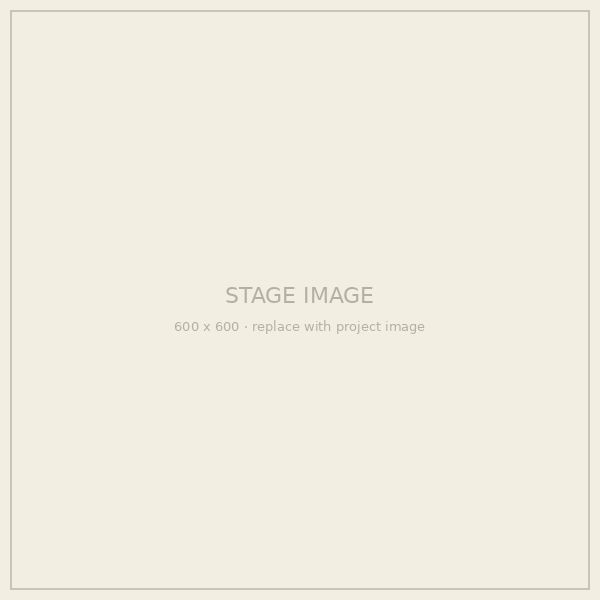 Stage 01: Idea framing